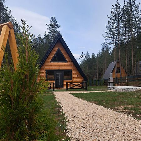 Pine Forest-Black Zabljak  Exterior photo
